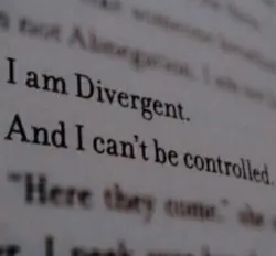 Divergent aestheti