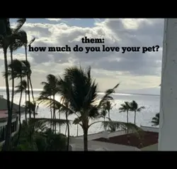 pet love