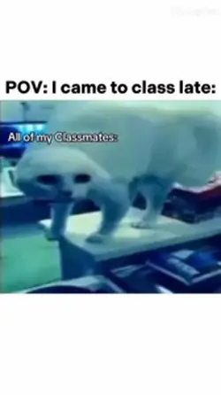 School