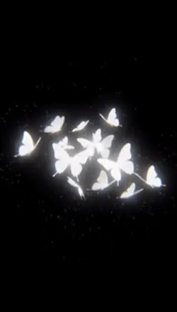 8K Butterfly Effects