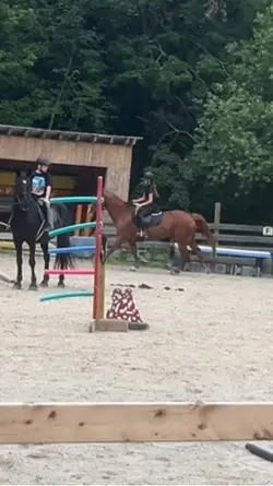 Harry 1 handed!