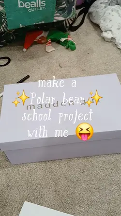 school project
