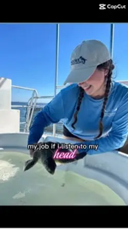dream jobs