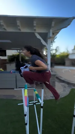new hobbyhorse jumps