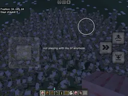 Minecraft😋