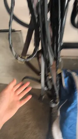 My horse collection