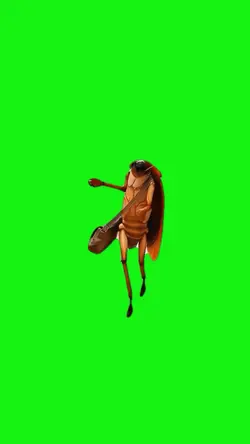 COCKROACH WALKING 