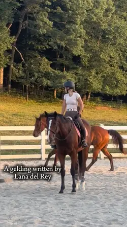 A gelding😍