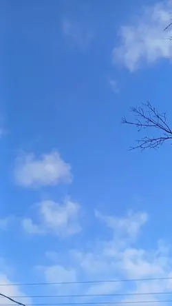 Blue sky's clear day