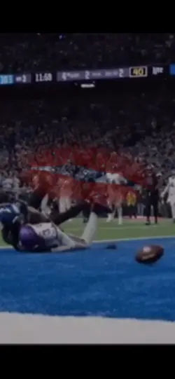 Lions defense