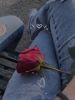 Carta a Mi Novio 💞