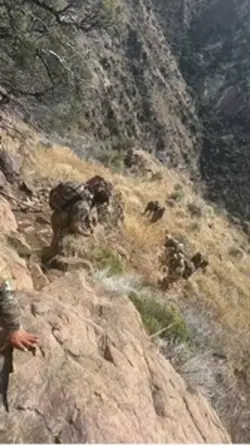 Desierto 🌵 de Arizon