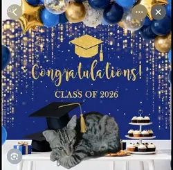 2026 class
