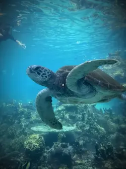 STOP LITTERING 