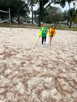 Girl Scouts 