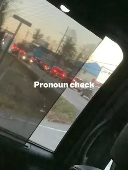 Pronoun check