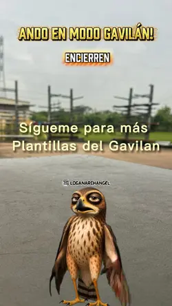 En Modo Gavilan
