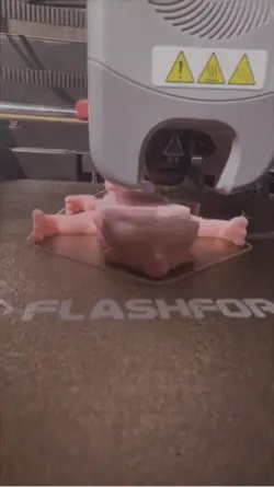 3d print time lapse