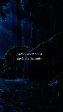 Night Forest Rain |