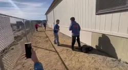 school fight