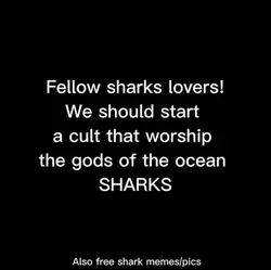 SHARKS :D