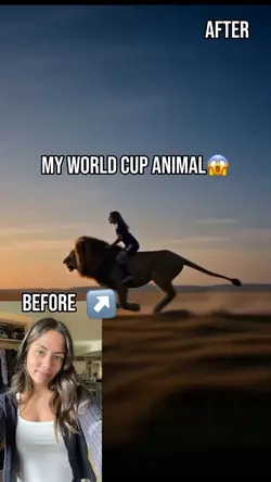 Wc team
