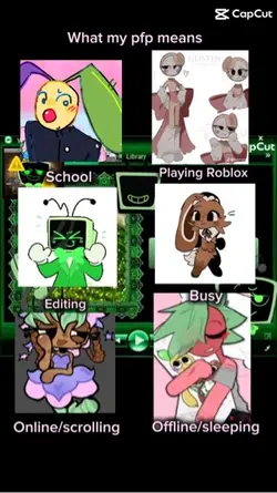 WHAT MY PFP MEANS!!