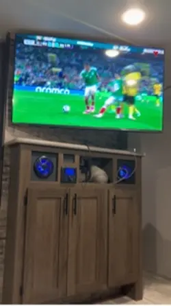 Vamos México 🇲🇽