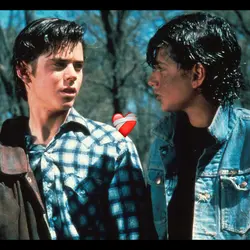 Stay gold Ponyboy 🥹