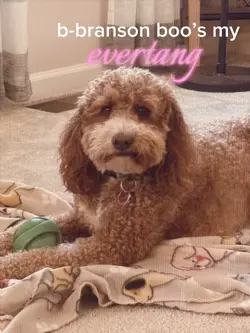 mah evertang!