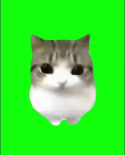 green screen