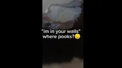 ..