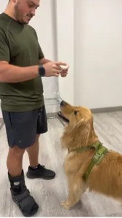 FUNNY DOG