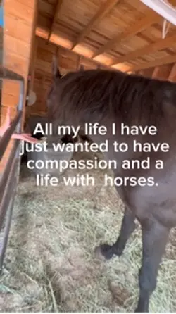Equestrian4ever