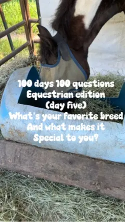 Equestrian questions