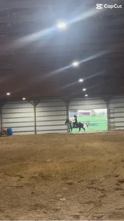 canter poles !!