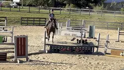 same horse+rider -L