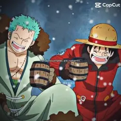 Zoro and Luffy 