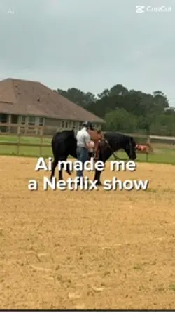 Netflix TV show