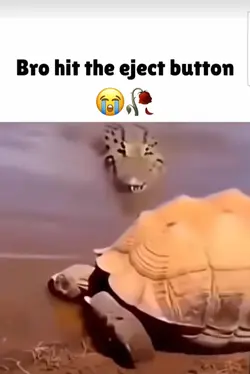 Bro ejected 😭