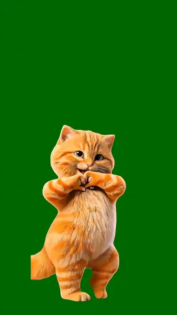 Dancing Orange Cat