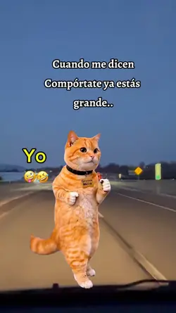 cumbia