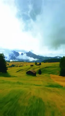 23 video or photo