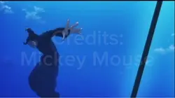 FREE VIDEO
