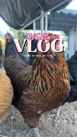 Weekly Vlog