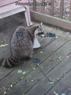 Pronouns :3