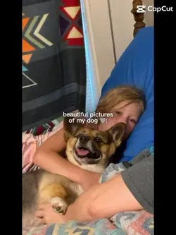 my cute doggy