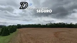 se feliz