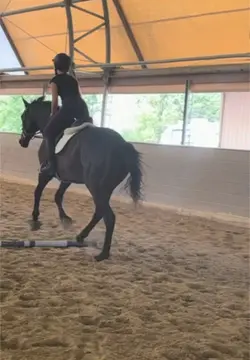 perfect boi