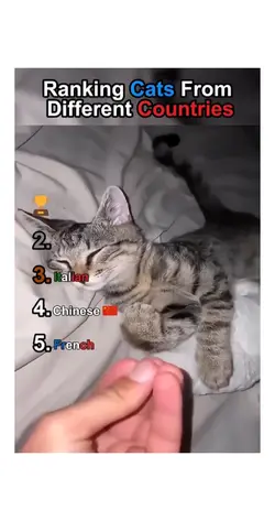 Ranking diff cats